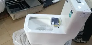 Toilet Seat on Sale