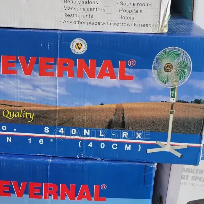 Evernal Stand Fan