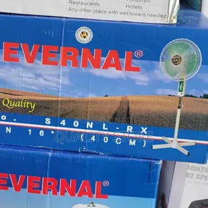 Evernal Stand Fan