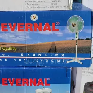 Evernal Stand Fan