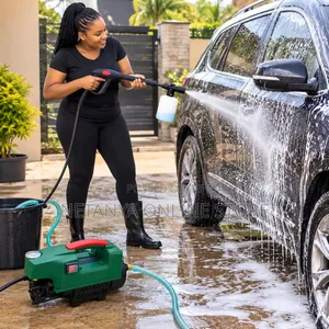 Portable Electric High Pressure Washer