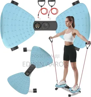 Waist Twister Exercise Machine