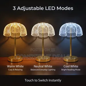 Rechargeable Decorative Table Lamp