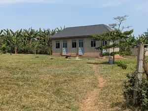 40-Acre Farm, Nakaseke - Farmhouse Valley Dam