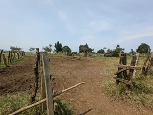 40-Acre Farm, Nakaseke - Farmhouse Valley Dam