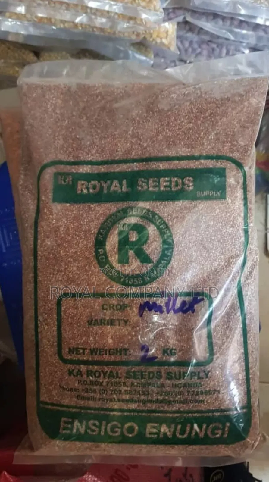 Millet Seeds 2kgs Royal Seeds