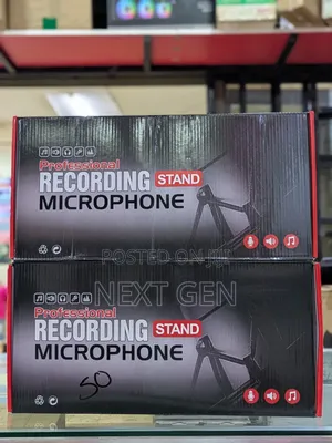 Professional Recording Stand Microphone