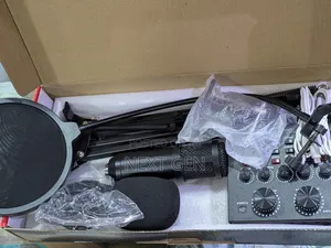 Professional Recording Stand Microphone