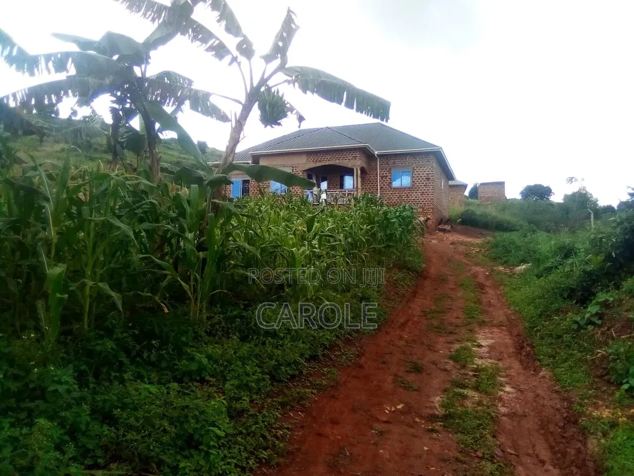 4bdrm Bungalow in Jomayi Estate -, Nakisunga for sale