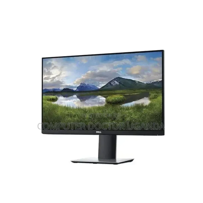 Dell IPS Monitor