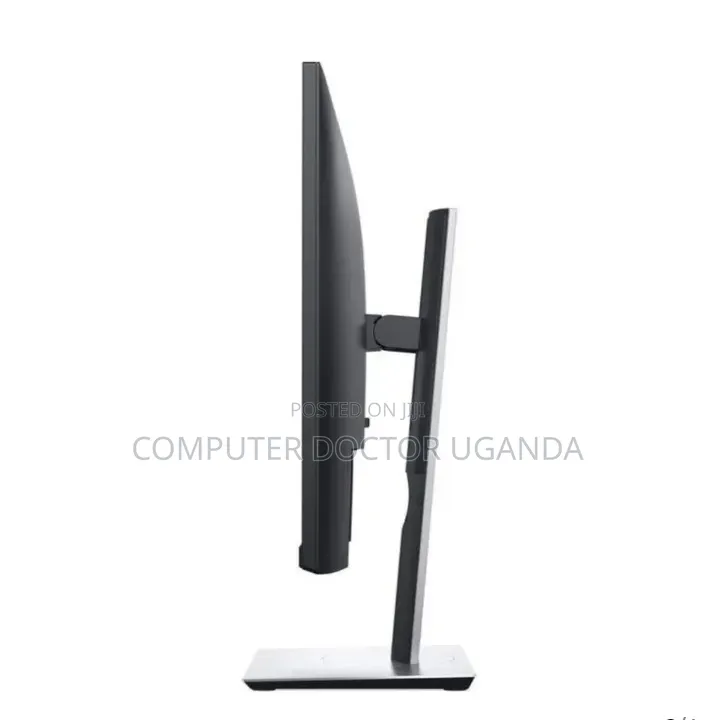 Dell IPS Monitor