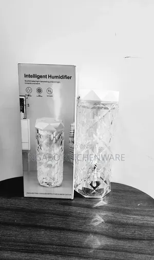 Intelligent Humidifier.