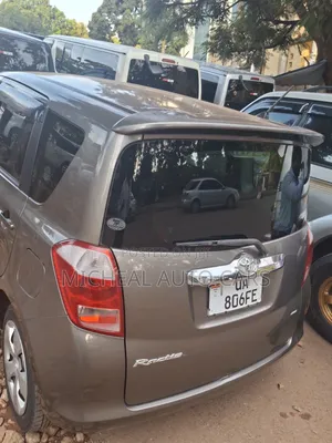 Toyota Ractis 2010 Gray