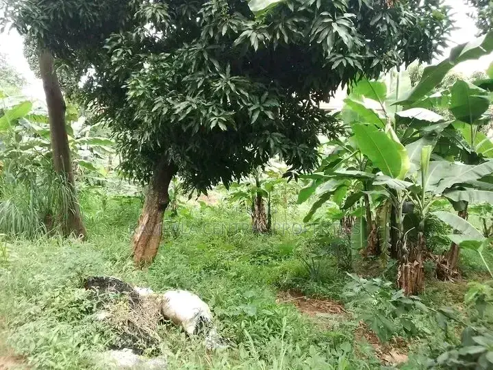 100x50 Plot for Sale in Naalya