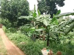 100x50 Plot for Sale in Naalya