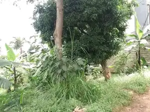 100x50 Plot for Sale in Naalya