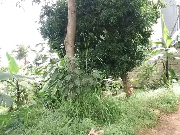 100x50 Plot for Sale in Naalya
