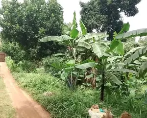 100x50 Plot for Sale in Naalya
