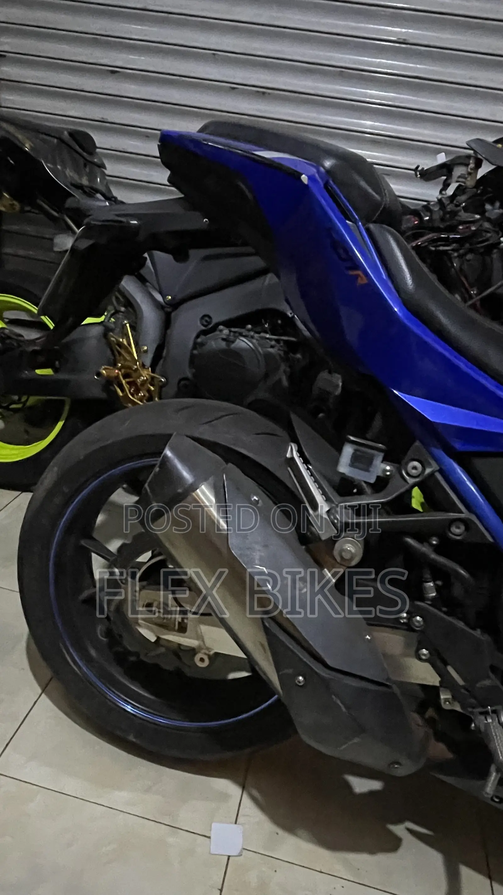Taro GP 1 Sport 2019 Blue
