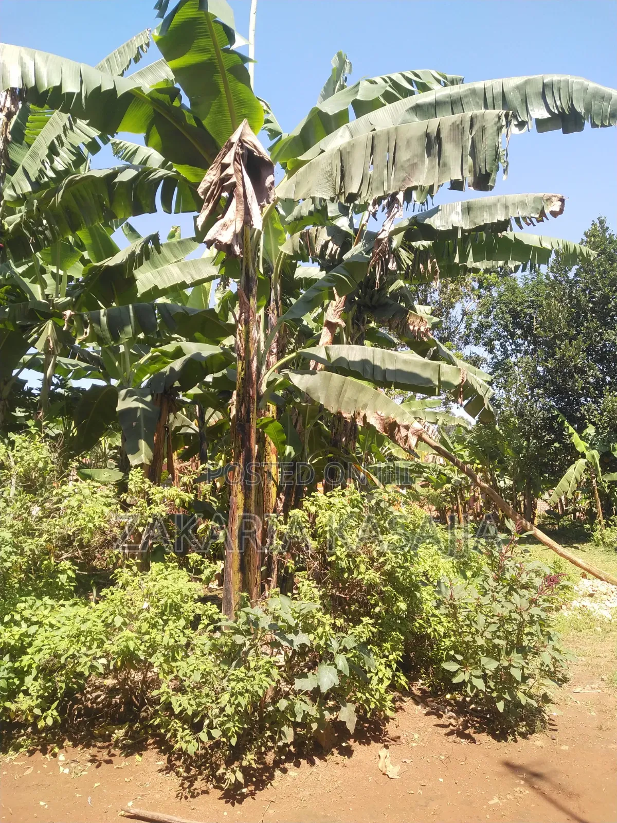 Land Selling