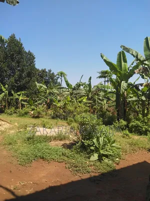 Land Selling