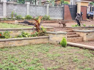 Professional Landscaping Services