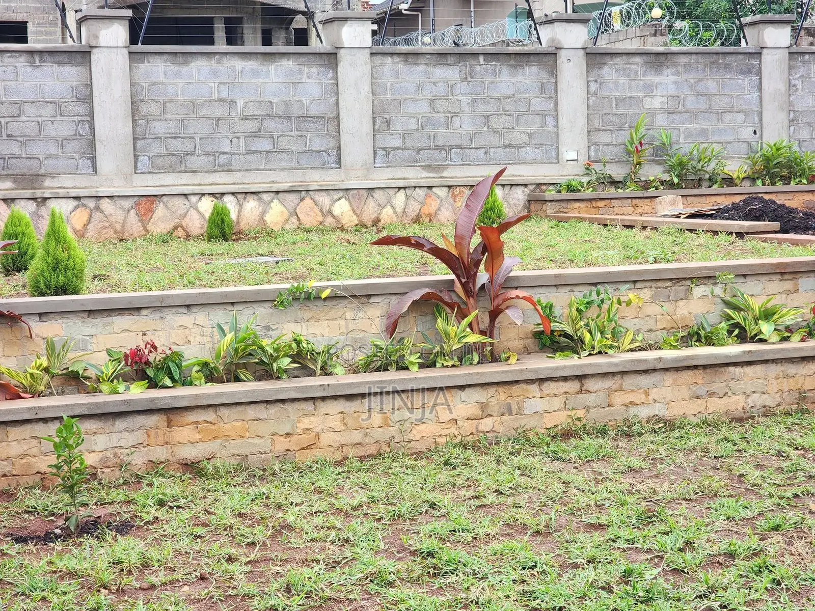 Professional Landscaping Services