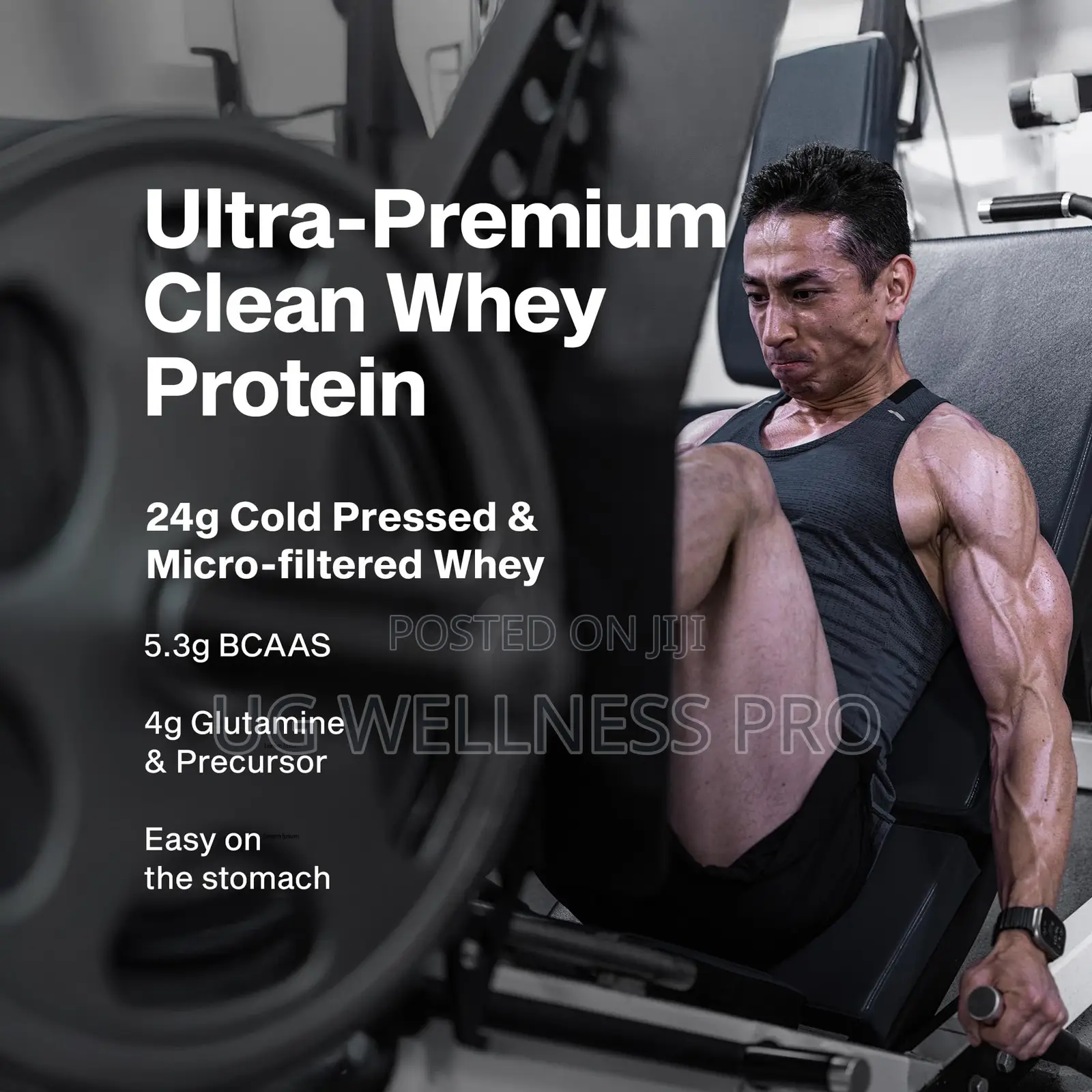 MuscleTech Nitro-Tech 100% Whey Gold 2 Lb (27 Servings) - Banana Cream