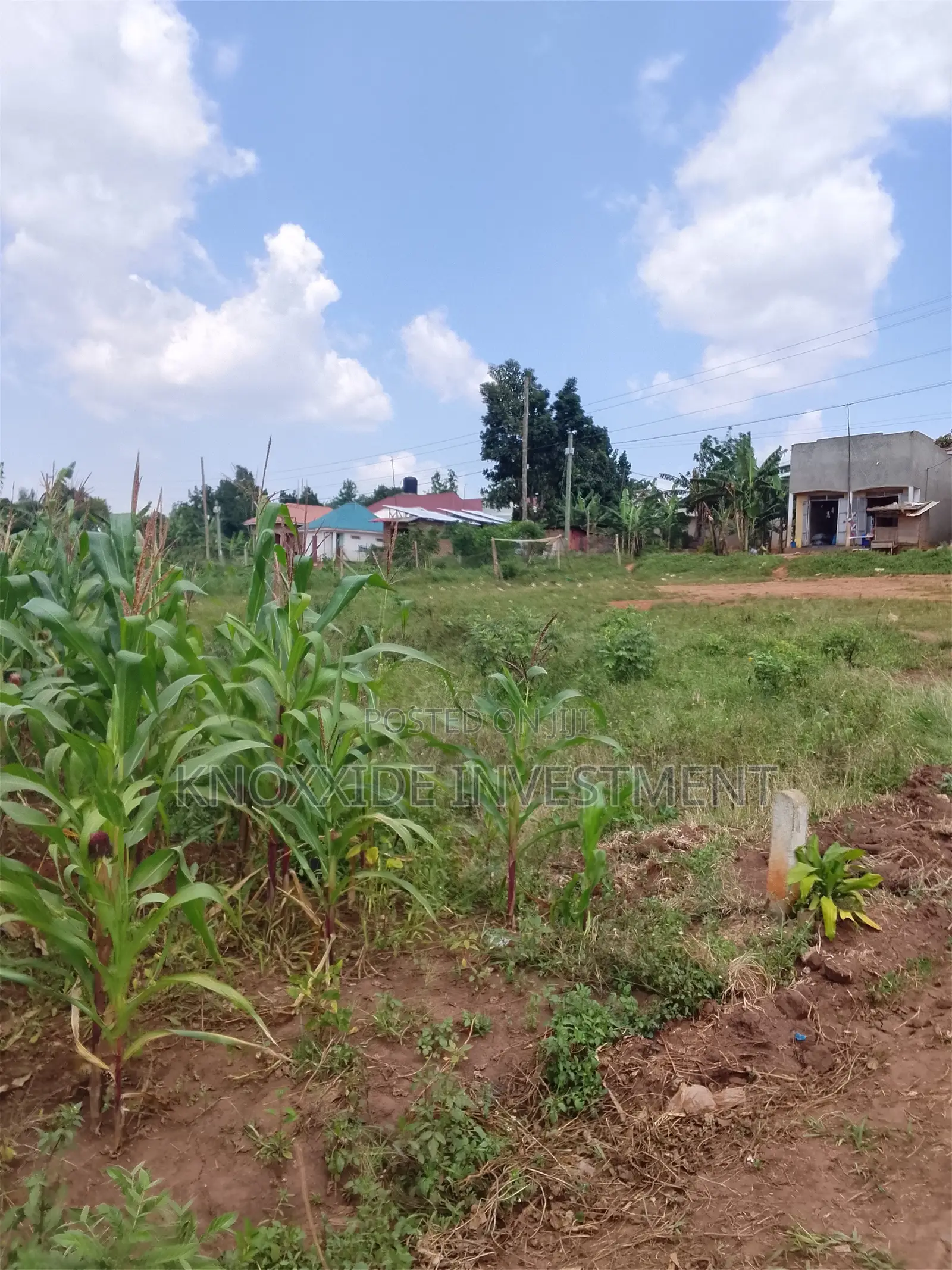 Land for Sale 1acres for Sale at 140m Ugx Kakiri Nakyerogosa Hoima Road