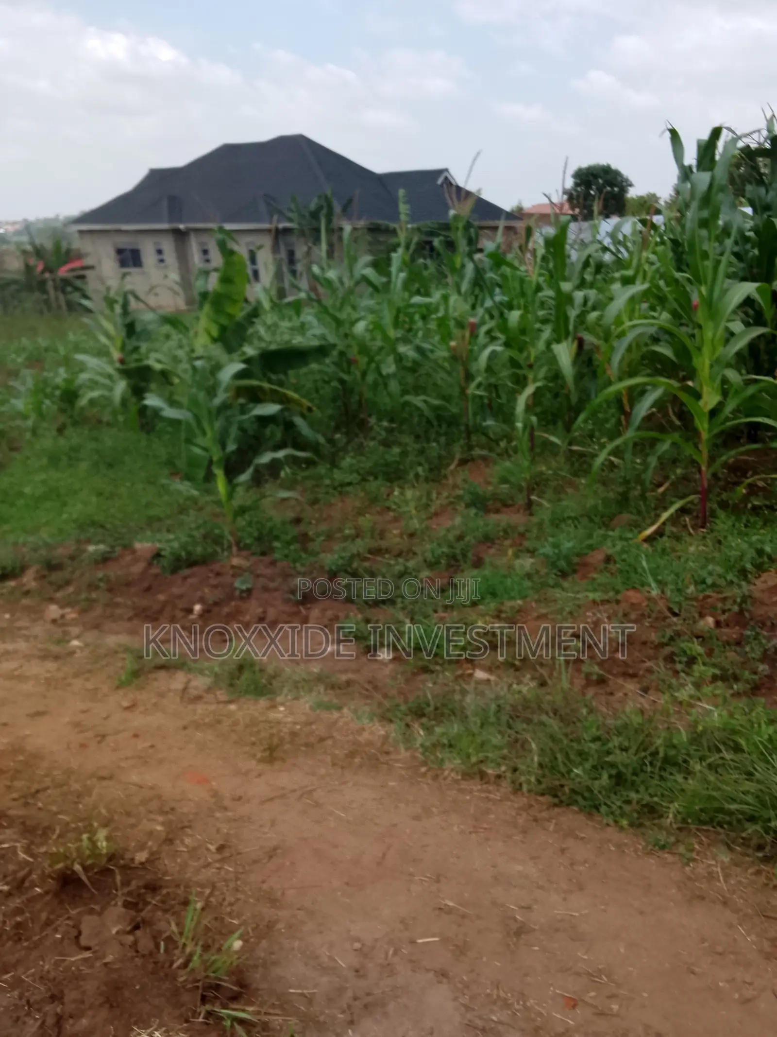 Plot for Sale 25x50ftft Ugx Lukwaga Town Sentema Road