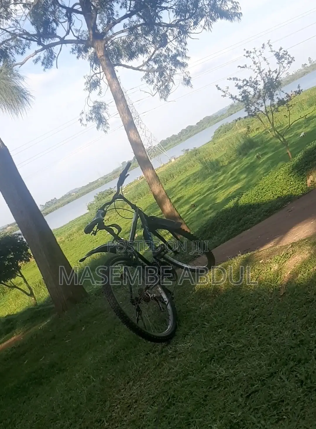 Mountain Bike(bicycle)