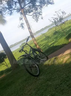 Mountain Bike(bicycle)