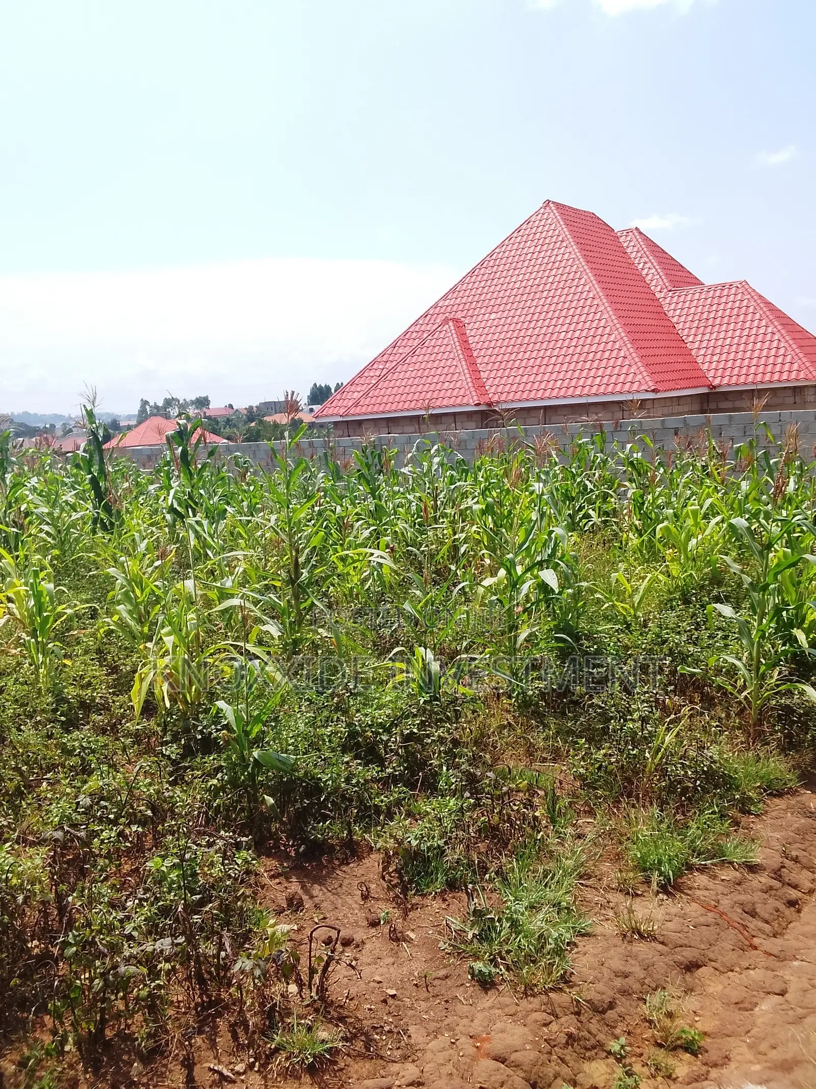 Plot for Sale 100x50ft at 7.5m Ugx Kakiri Masurita