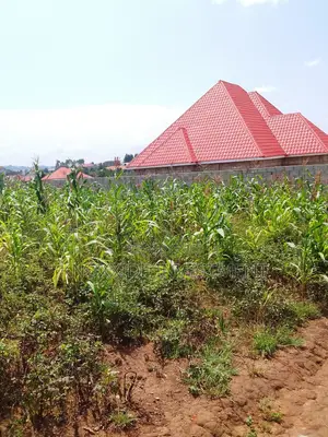 Plot for Sale 100x50ft at 7.5m Ugx Kakiri Masurita