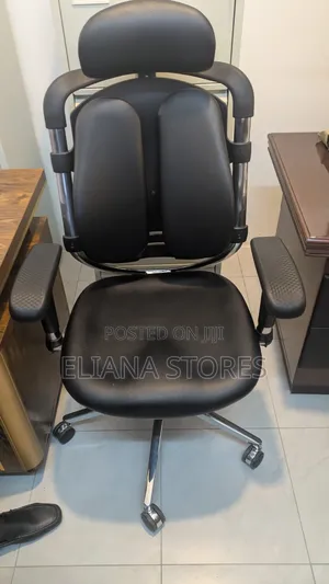 Office Orthopedic Chair With Adjustable Hand, Back Lumber Support