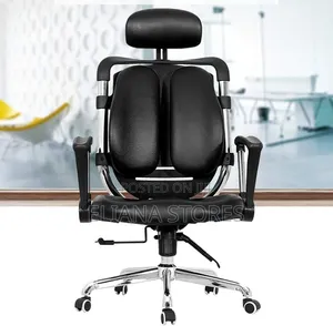 Office Orthopedic Chair With Adjustable Hand, Back Lumber Support