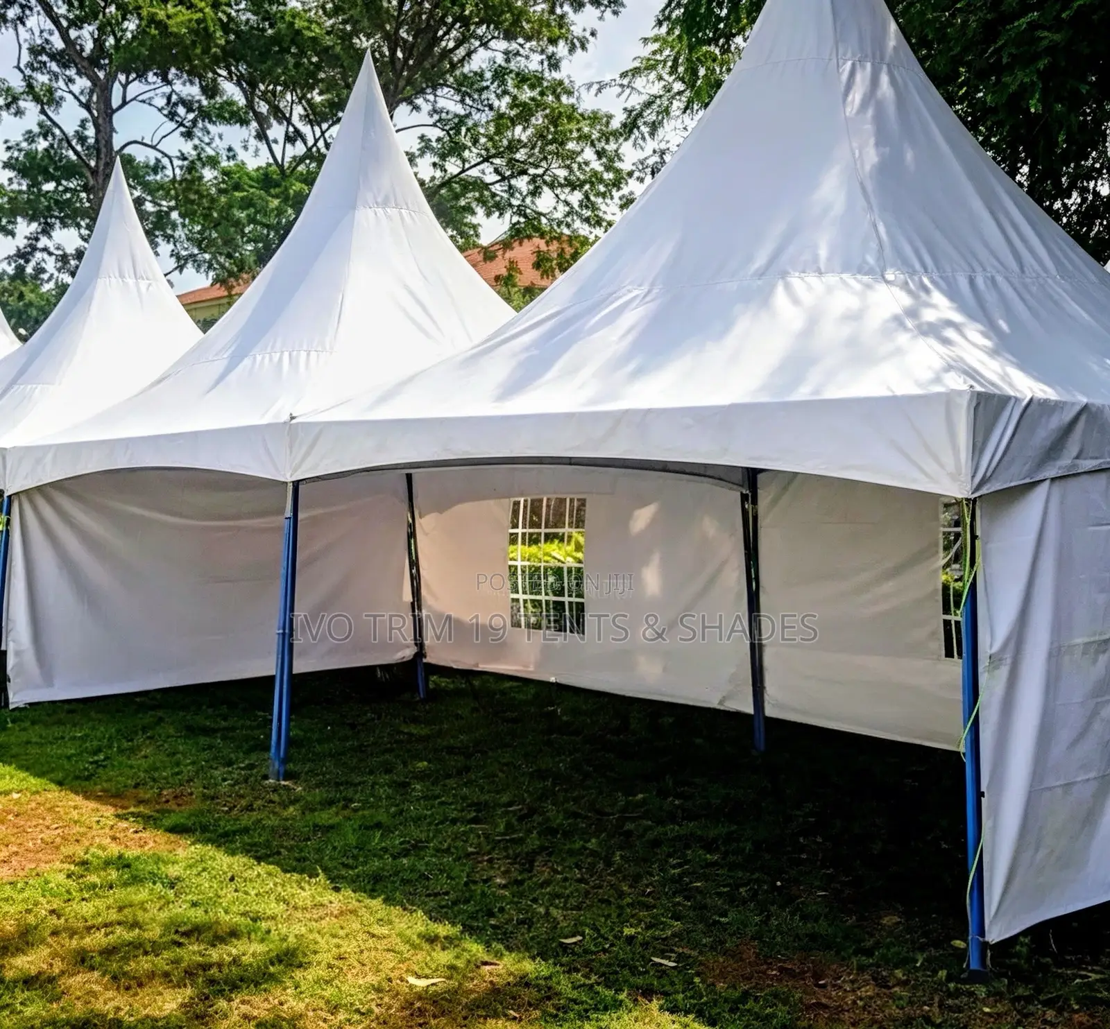 150 Seater Canopy Tent
