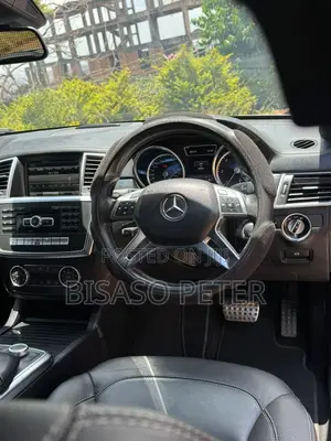 Mercedes-Benz M Class ML 350 BlueTEC 4Matic 2013 Gray