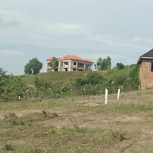 Land on Sell 100x50ft at 35m Ready Tittle Bukalango Kakiri