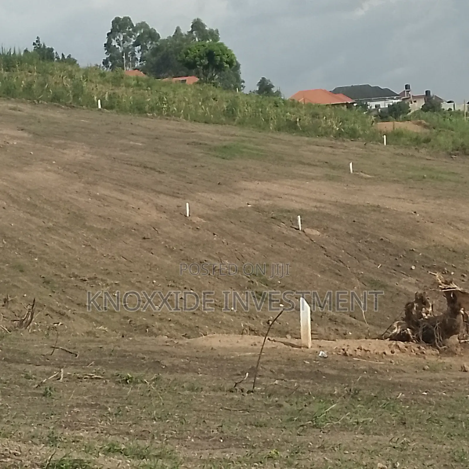 Land on Sell 100x50ft at 35m Ready Tittle Bukalango Kakiri