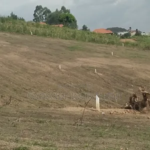 Land on Sell 100x50ft at 35m Ready Tittle Bukalango Kakiri