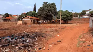 Land Along Ebbe Road (1 and Ahalf Acre)