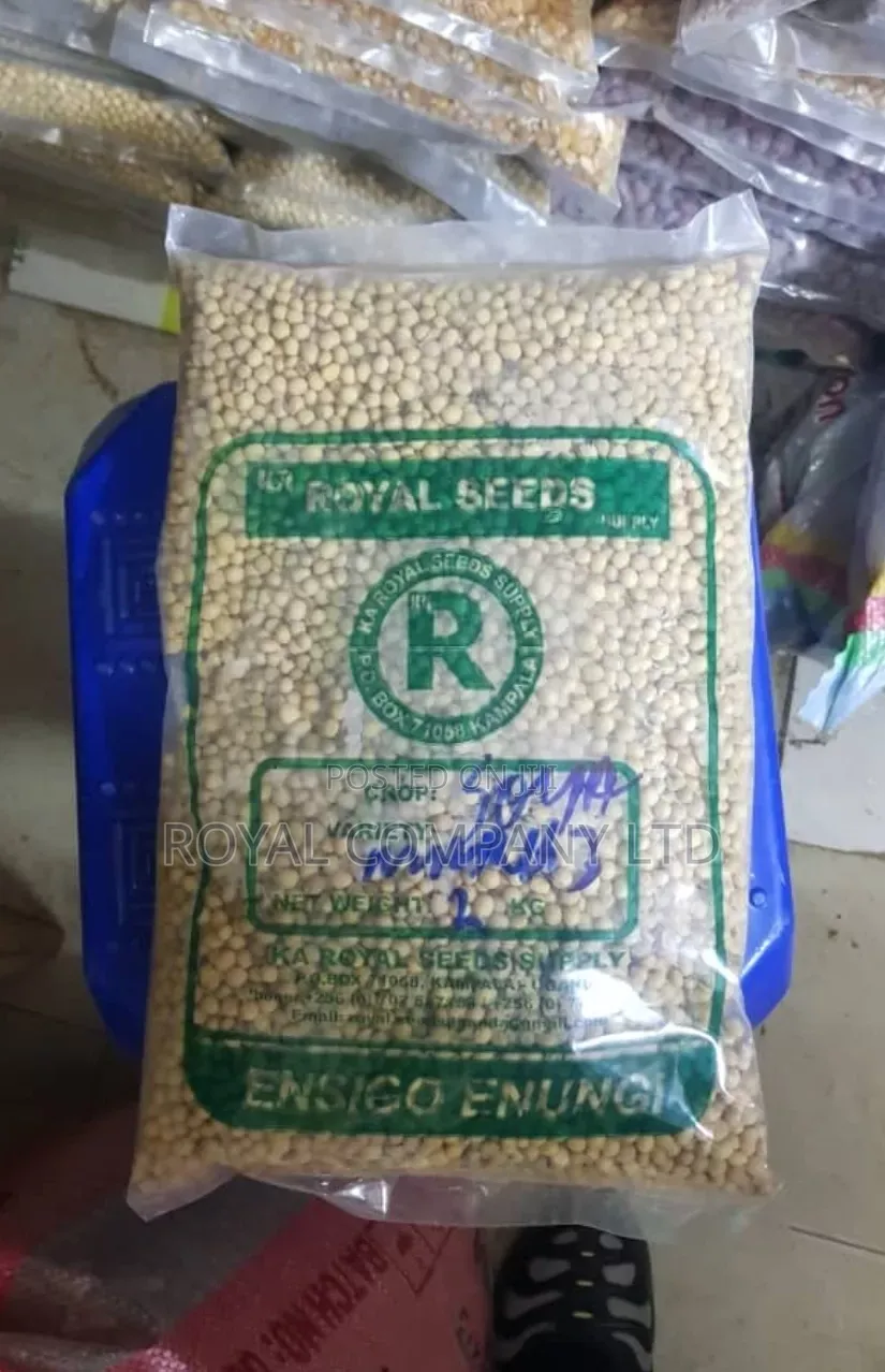 Soya Seeds 2kgs