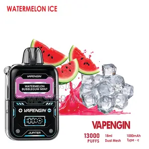 Vapegin 13000puffs Watermelon Ice Pod Kit