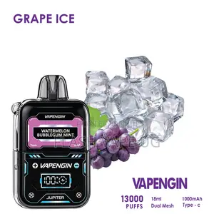 Vapegin 13000puffs Vape Pod in Grape Ice