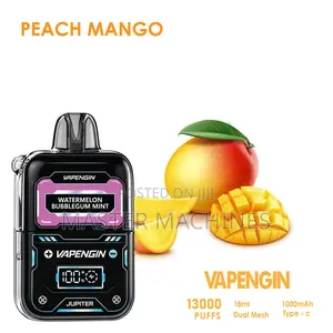 Vapegin 13000puffs Vape Pod in Peach Mango Flavor