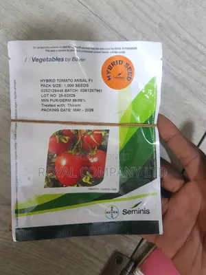 Tomatoe Hybrid 1000seeds Ansar F1