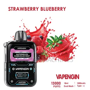 Vapegin Vape Pod in Strawberry Blueberry Flavor