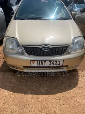Toyota Allex 2007 Gold