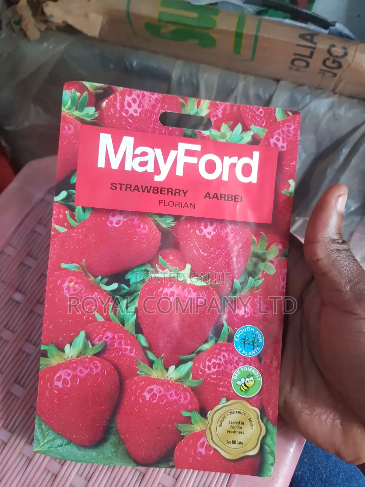 Strawberry Seeds Mayford